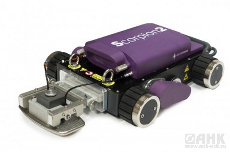 Silverwing Scorpion2