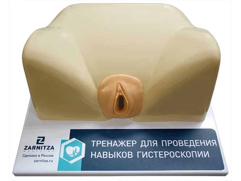 Тренажер Зарница для проведения гистероскопии